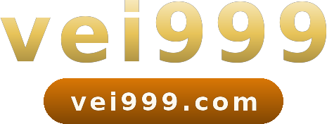 vei999 logo